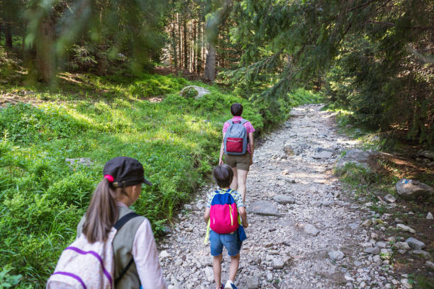 istock Young mountaineers on a hiking trip with their mom 1254404943