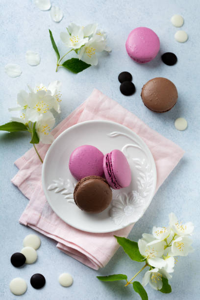 istock Chocolate and blackcurrant French macarons in  ceramic  plate on light concrete background. Selective focus. Top view. 1254405206