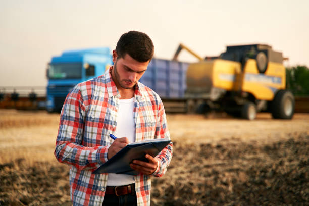 Farmer controls loading wheat from harvester to grain truck. Driver holding clipboard, keeping notes, cargo counting. Forwarder fills in consignment waybills. Agricultural commodities logistics