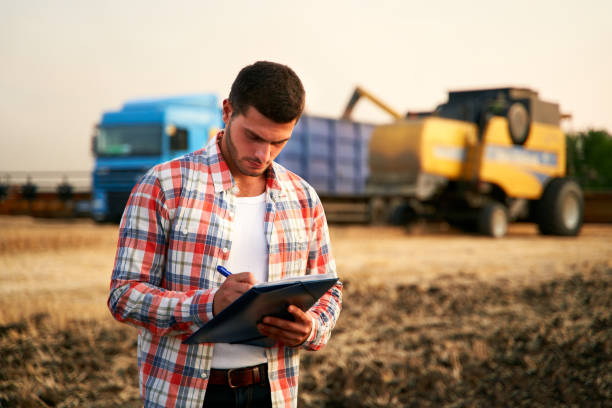 Farmer controls loading wheat from harvester to grain truck. Driver holding clipboard, keeping notes, cargo counting. Forwarder fills in consignment waybills. Agricultural commodities logistics stock photo