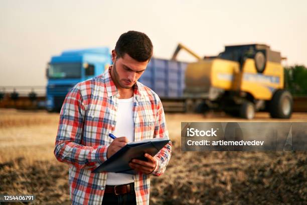 Farmer Controls Loading Wheat From Harvester To Grain Truck Driver Holding Clipboard Keeping Notes Cargo Counting Forwarder Fills In Consignment Waybills Agricultural Commodities Logistics Stock Photo - Download Image Now