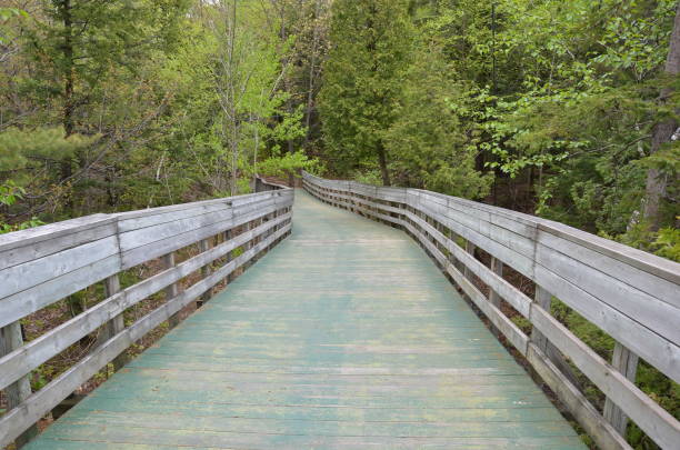 istock wooden path or trail with railing and trees 1254406915