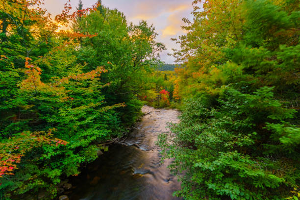 istock Diable (Devil) River, in Mont Tremblant National Park 1254407227