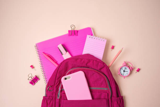 istock Back to school concept with bag backpack, blank notebook and school supplies on pink background. Top view from above 1254407995