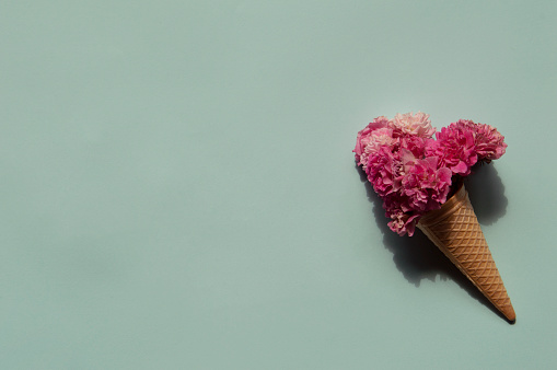 Waffle cone with pink flower bouquet on blue