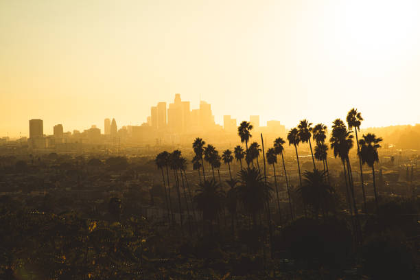 istock Beautiful view over Los Angeles downtown 1254413240