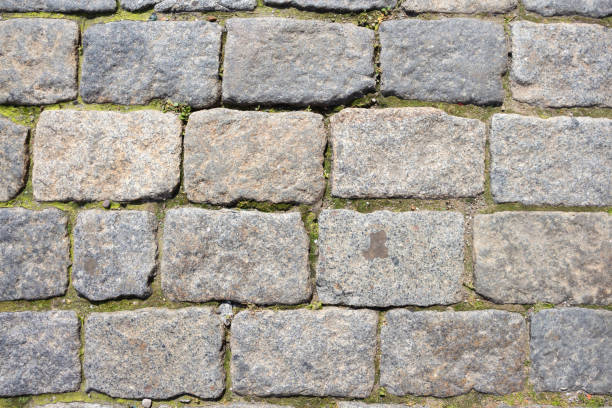 istock paving stones on Red Square in Moscow 1254413504