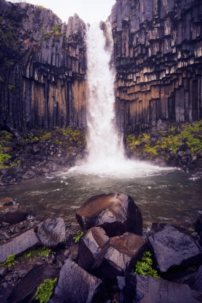 Vertical composition of the impressive Svartifoss waterfall