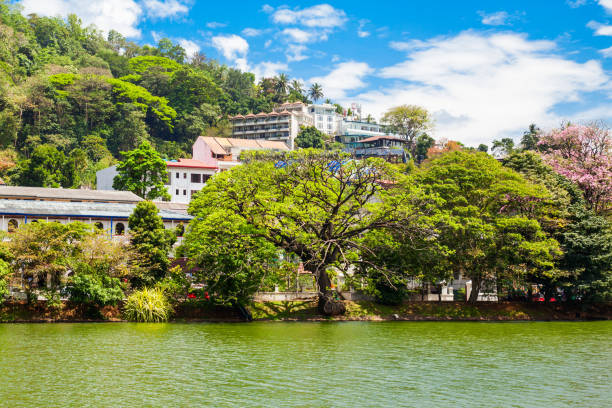 istock Kandy Lake, Sri Lanka 1254417716