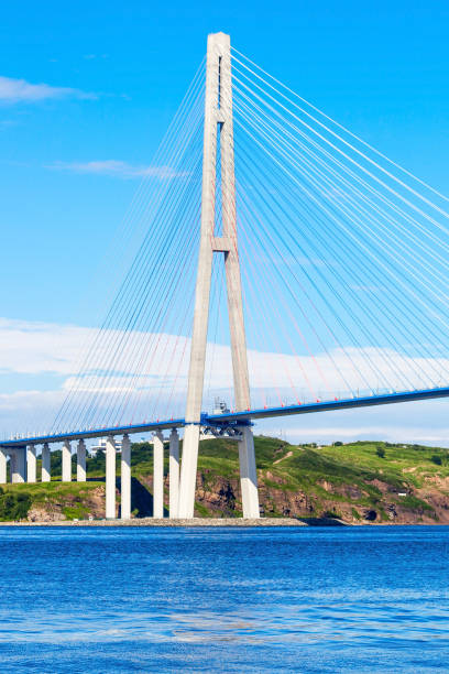 istock Russky Russian Bridge in Vladivostok 1254417813