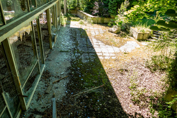 istock a lost hospital from outside 1254418274