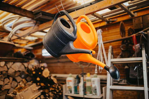 Two watering cans hang inside a garden shed