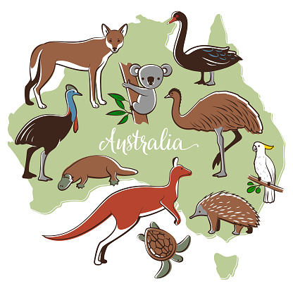 Australian map with wild animals.