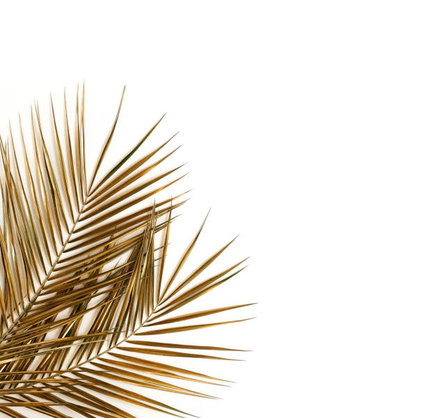 istock Gold palm leaves frame isolated on a white background. top view. copy space. abstract. 1254420426