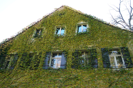 This is a house facade overgrown with wild plants as an architectural design for old buildings