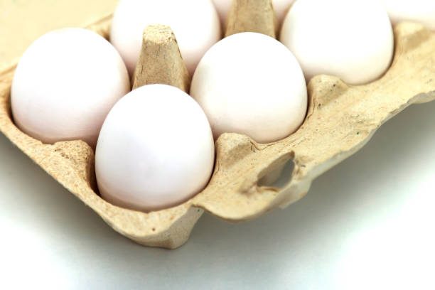 istock White chicken eggs in package on white isolated background 1254424160