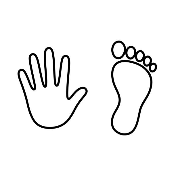 kontur wydruku dłoni i stóp - handprint human hand pattern white background stock illustrations