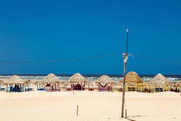 istock Beach in Marajo Island 1254426887
