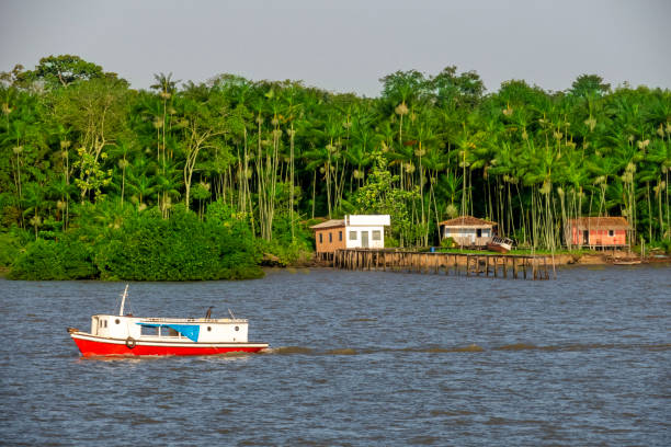 Passenger boat crosses a river in the Amazon Three old houses on the river bank in the background. Scene that describes perfectly the Amazon region. amazon forest stock pictures, royalty-free photos & images