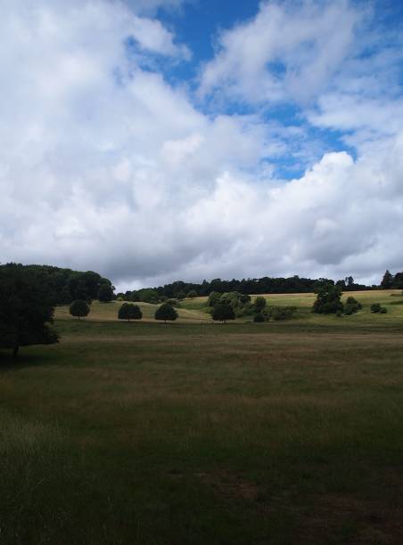 istock View of meadow in England 1254427243
