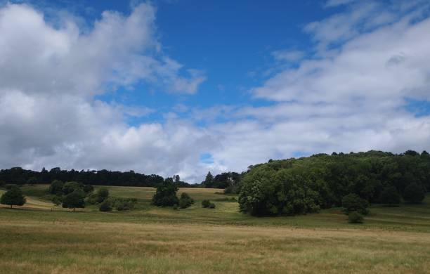 istock View of meadow in England 1254427262