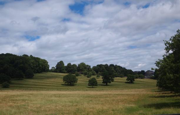 istock View of meadow in England 1254427345