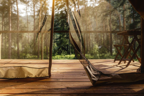 istock glamping tent in the woods 1254427485