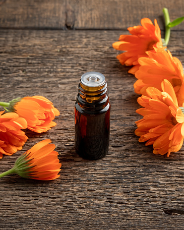 A bottle of essential oil with calendula flowers on a wooden background