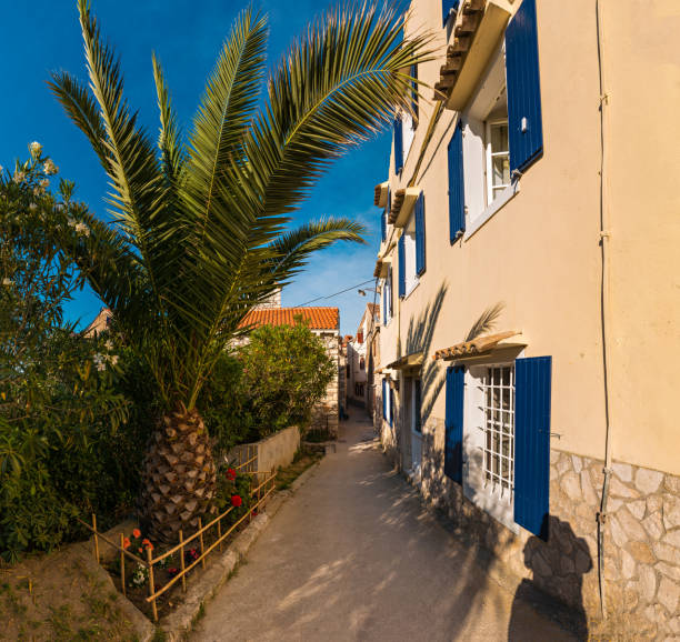 Susak is a small island on the northern Adriatic coast of Croatia. The name Sansego comes from the Greek word Sansegus meaning oregano which grows in abundance on the island.