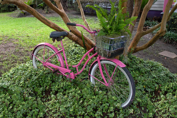 istock Pink Bicycle with basket-South Carolina 1254429746