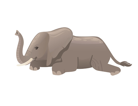 Ilustración de Lindo Elefante Adulto Acostado En El Suelo De Dibujos  Animados Animal Diseño Plana Ilustración Vectorial Aislada Sobre Fondo  Blanco y más Vectores Libres de Derechos de Abstracto - iStock