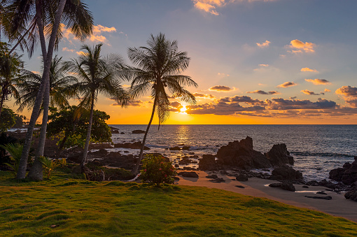 Beach along the Pacific Ocean coast of Costa Rica, Corcovado national park.