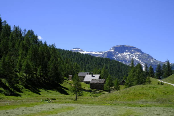 istock Alpe Devero - Piedmont - Italy 1254437838
