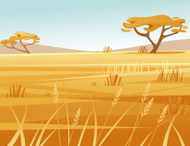 landschaft savanne hintergrund mit klarem himmel gelb gras und baum flach vektor illustration cartoon-stil - savanne stock-grafiken, -clipart, -cartoons und -symbole
