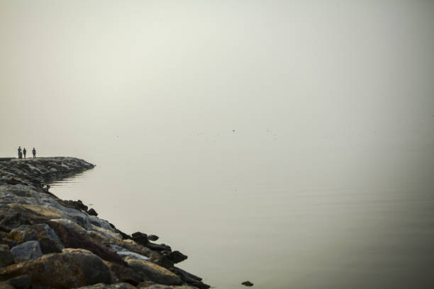 Rocks in the morning mist