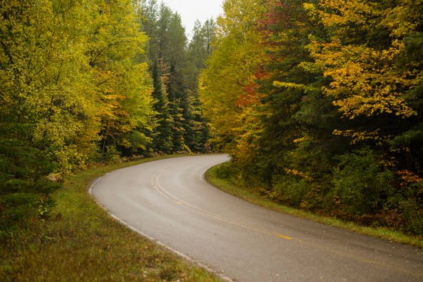 가을 숲의 구부리길 - country road winding road road michigan 뉴스 사진 이미지