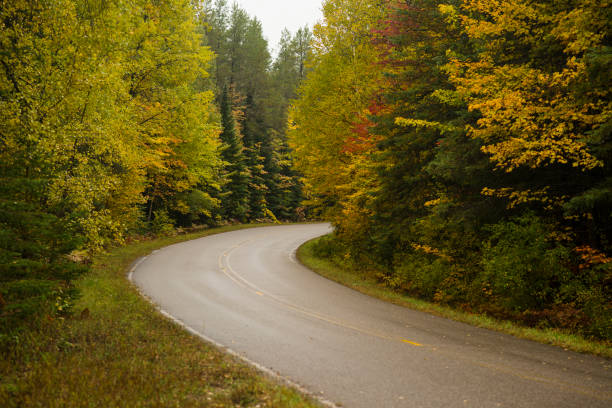 curving road in the autumn forest - country road winding road road michigan imagens e fotografias de stock