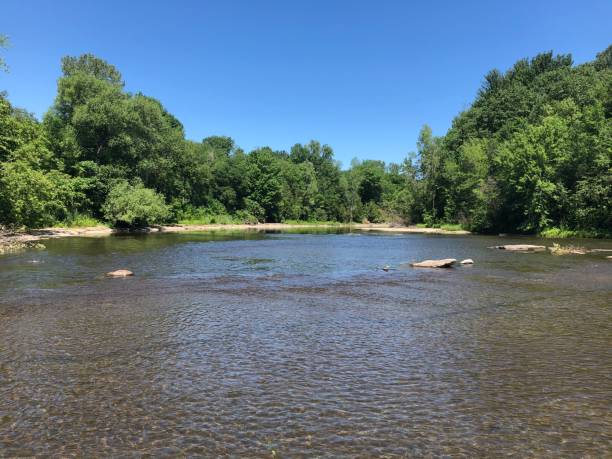 istock View of the river in summer with trees 1254445737