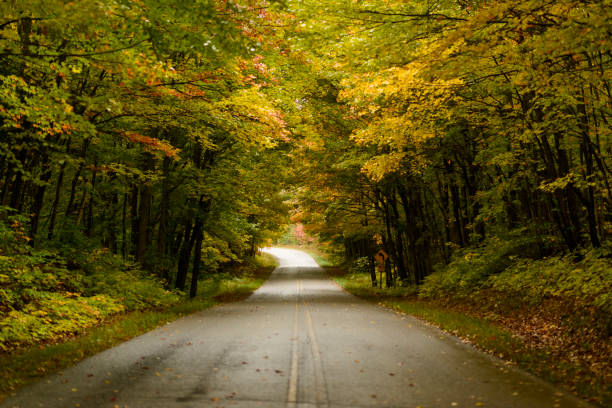 road in the autumn forest - country road winding road road michigan imagens e fotografias de stock