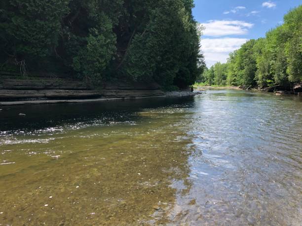 istock Long rocky river in motion for fishing 1254445764