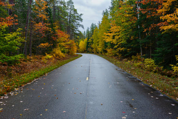 road in the autumn forest - country road winding road road michigan imagens e fotografias de stock