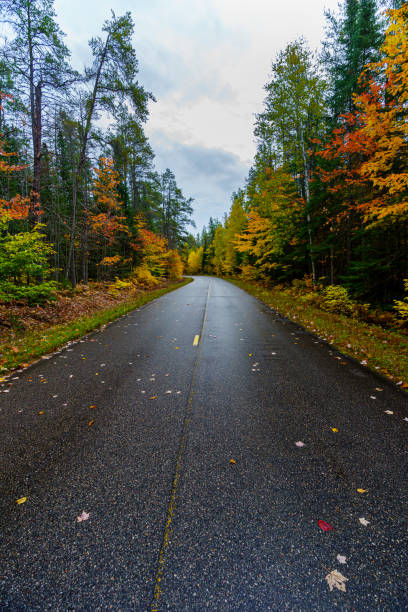 road in the autumn forest - country road winding road road michigan imagens e fotografias de stock