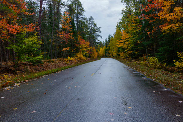 road in the autumn forest - country road winding road road michigan imagens e fotografias de stock