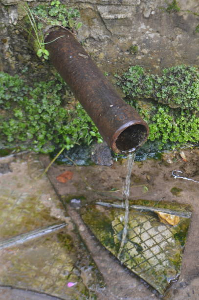 istock Russian traditional village water spring 1254445982