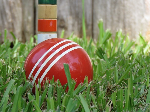 Game of croquet, balls, mallot, wickets, stake in green grass.