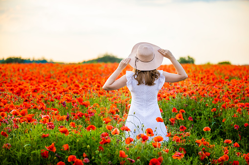 Woman with hat is standing in poppy field and enjoying a sunset in Czech republic