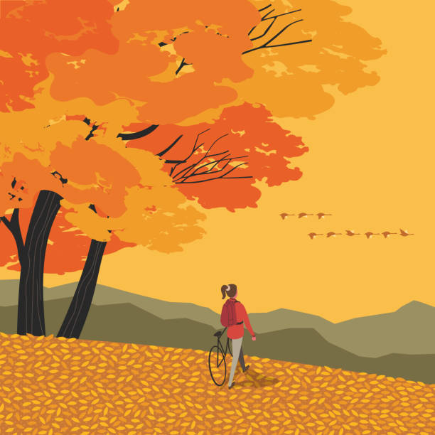 illustrazioni stock, clip art, cartoni animati e icone di tendenza di poster di attività sportiva della valle di montagna autunnale - leaf autumn falling tree