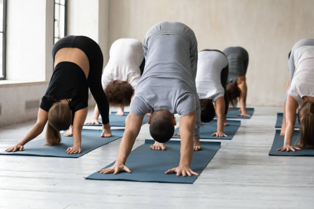 istock Young multiracial sporty people in Downward Facing Dog Pose. 1254455286