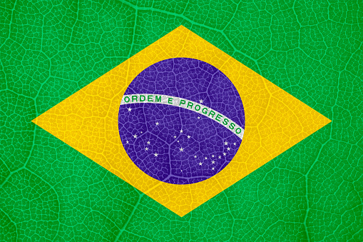flag of Brazil on the structure of a tree leaf macro. High quality photo
