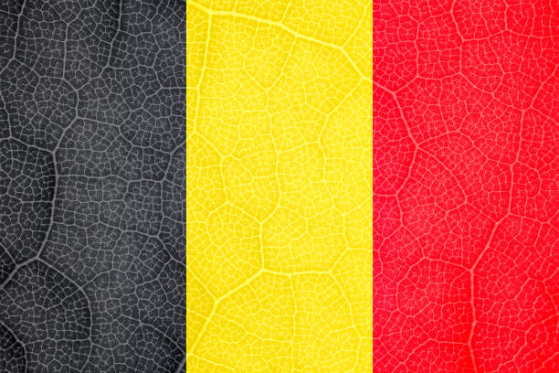 Black History Month Juneteenth Cinco de Mayo Kwanzaa Frame Background Grunge Texture Red Yellow Green Flag Striped Pattern Grunge Texture Abstract Paper Marble Concrete Cement Close-Up Sparse Full Frame Design template for presentation, flyer, card, poster, brochure, banner